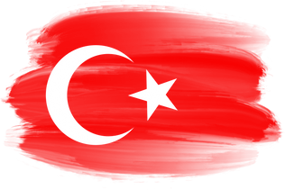 Turkey Flag Brushstroke  